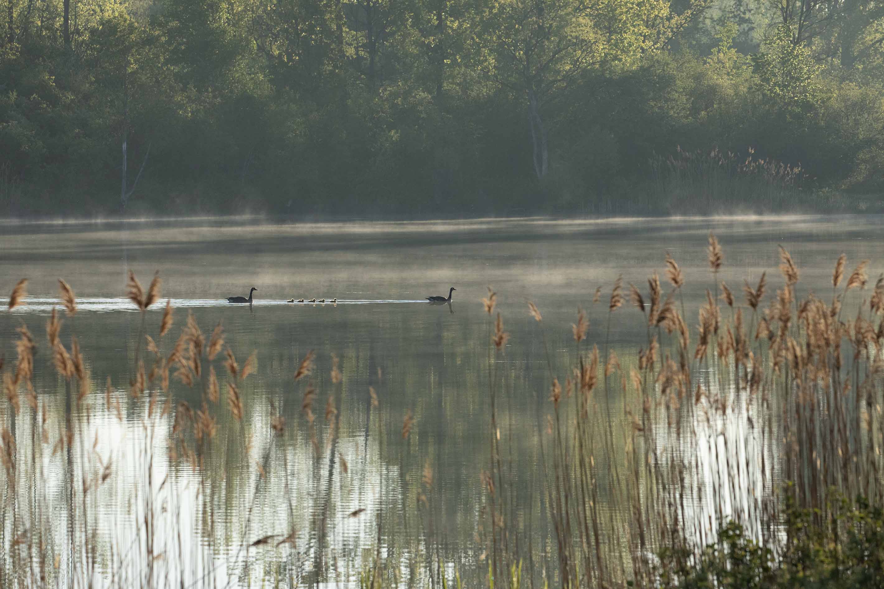 April 2026 - Jim Overfield