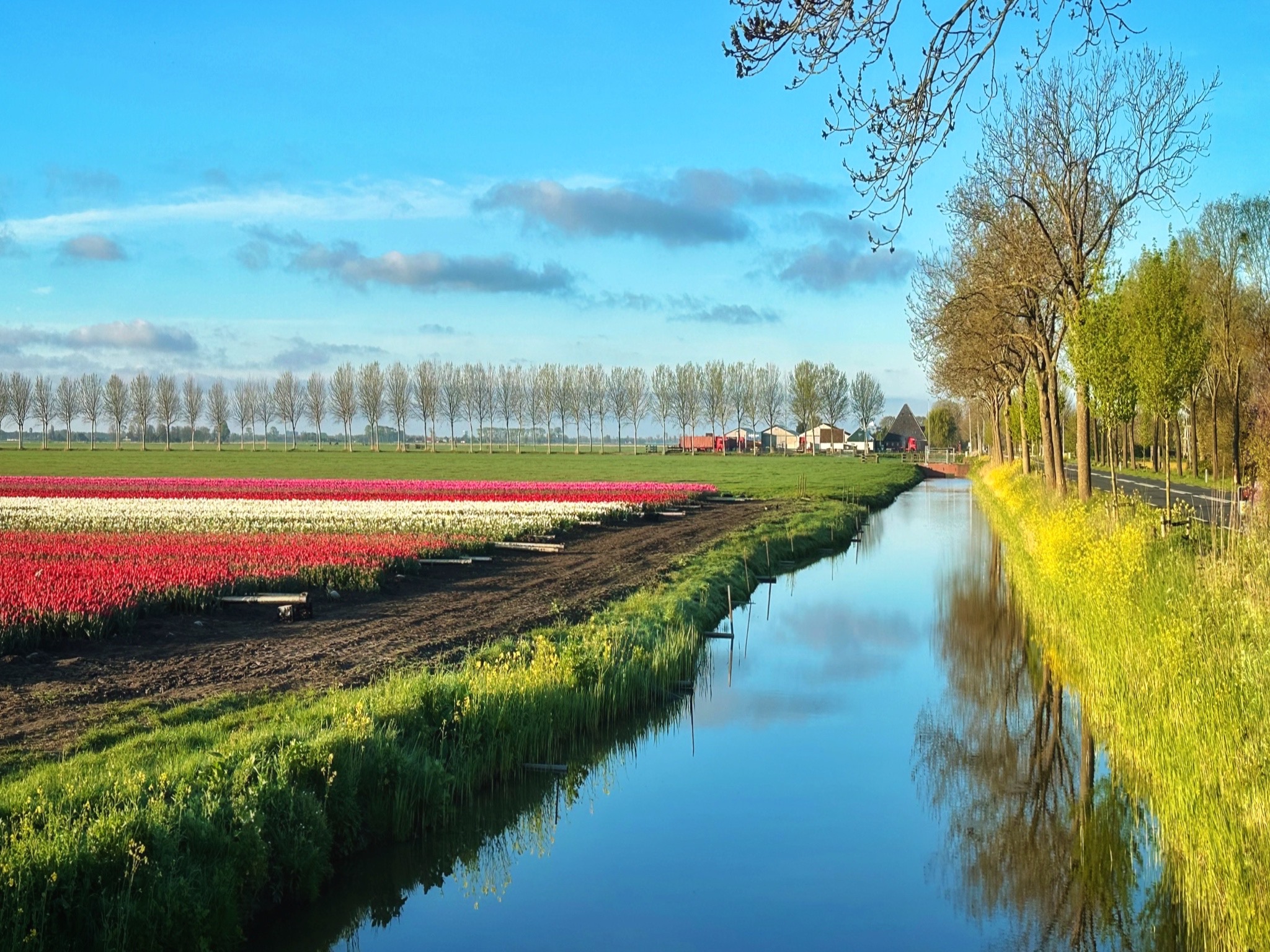 Painted Pathways by Linda Mui