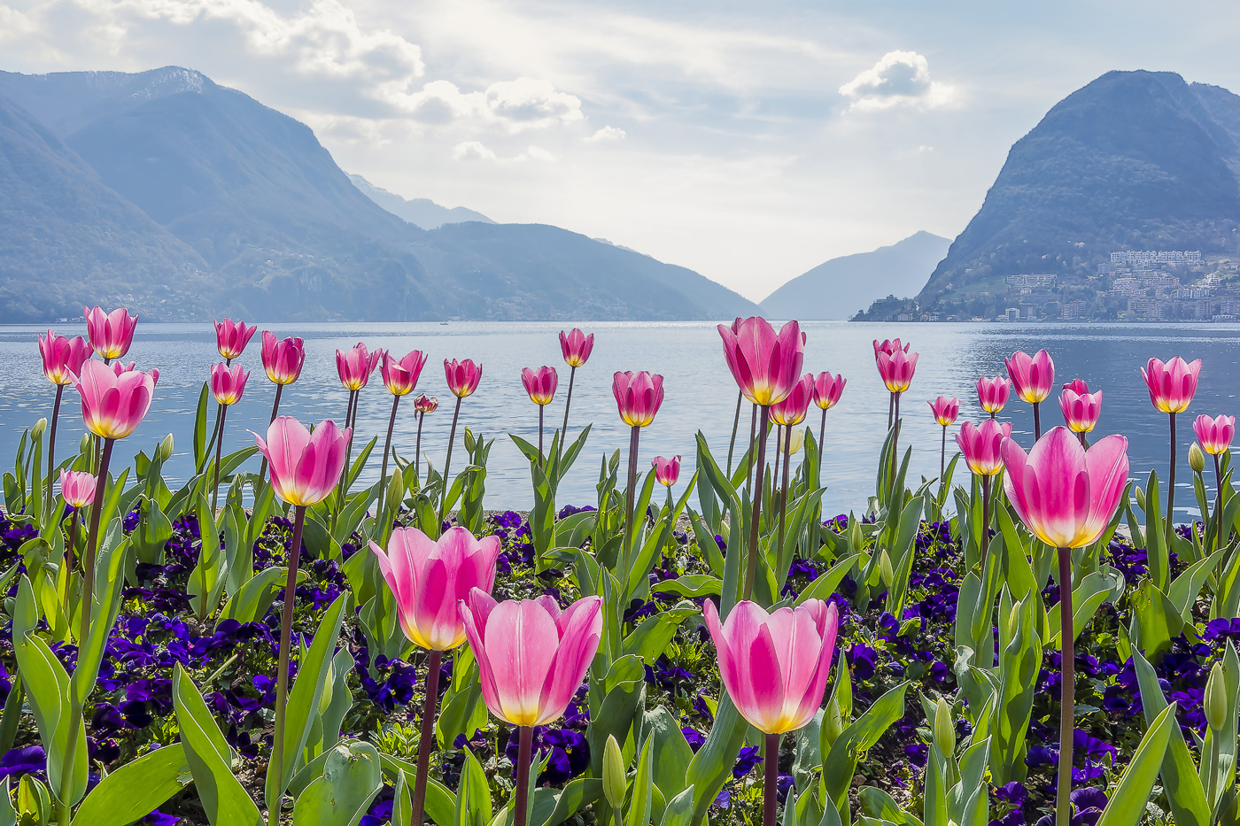 Spring on Lake Lugano by Sabine Nehls