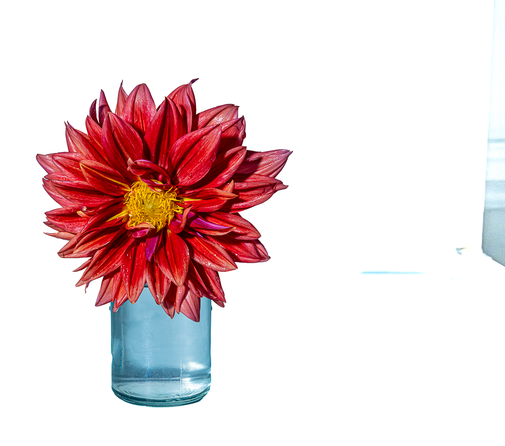 Comment Image