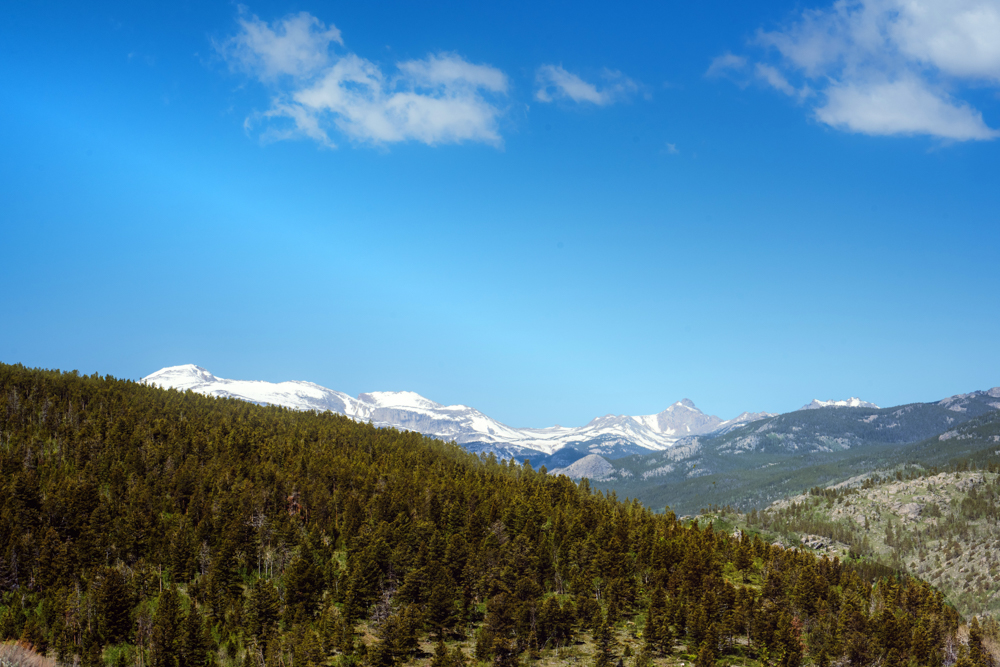 Snow capped mountains  by Sylvia Williams