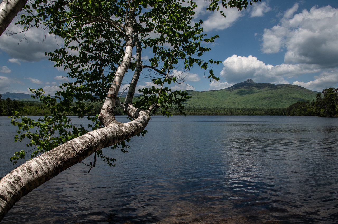 Chocorua Lake by Bob Legg