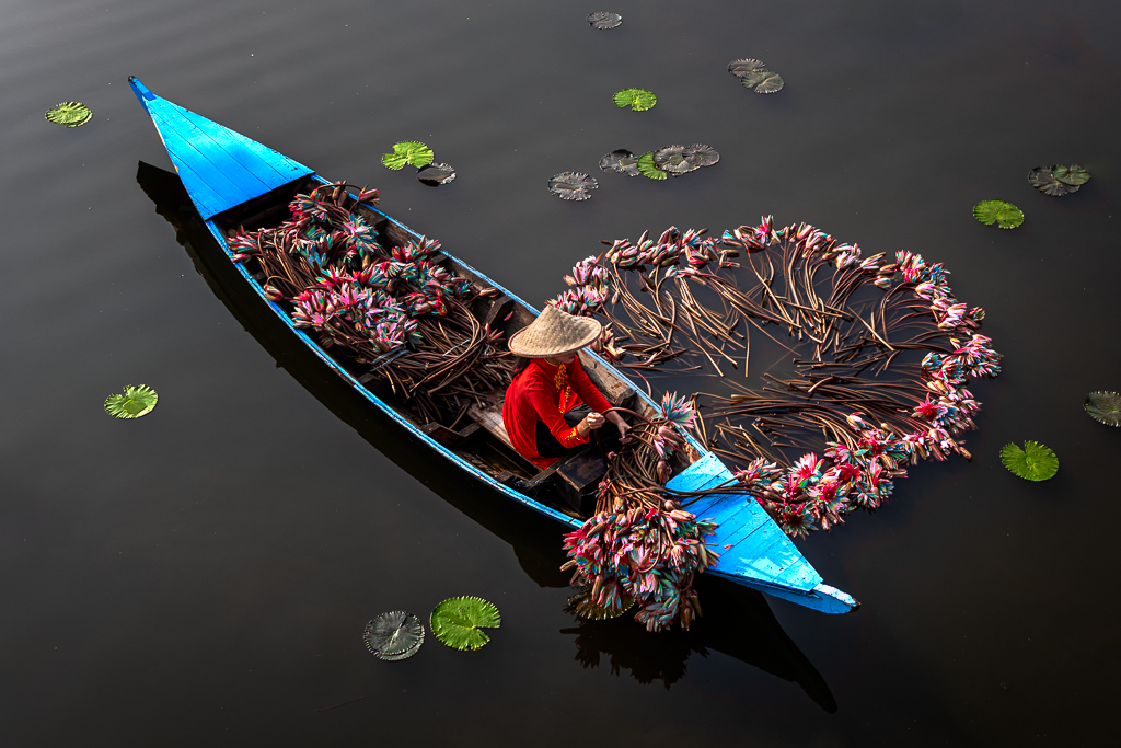 Collecting Water Lilies by Frans Gunterus