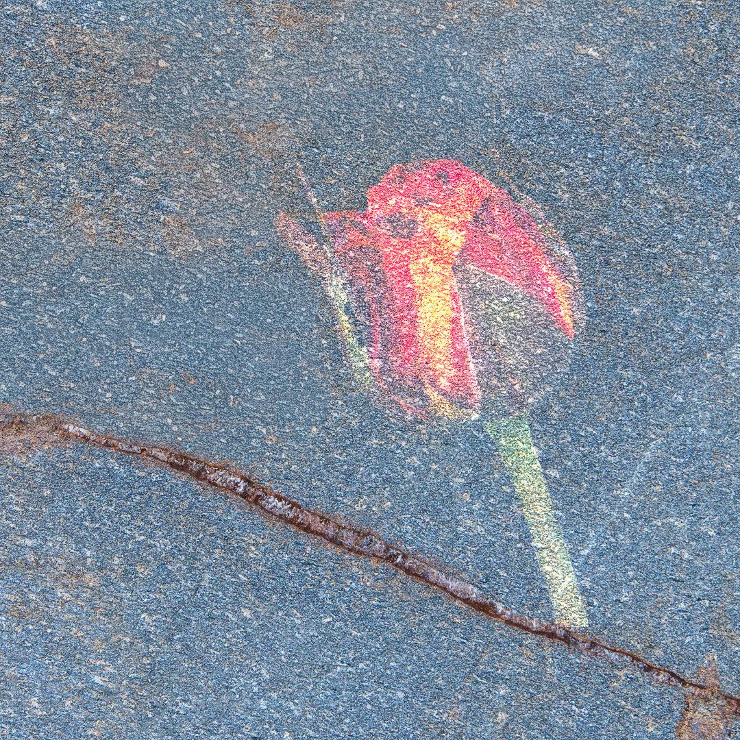 Granite Rose by Bob Legg