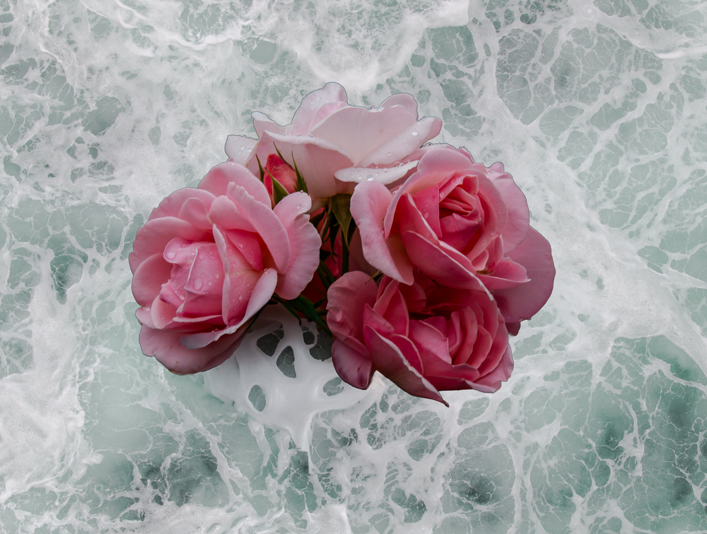 Rose Float 149 by Bob Legg