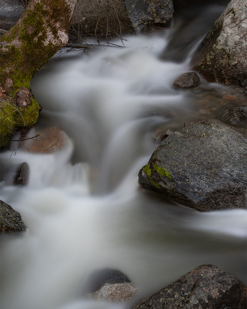 Yosemite - Falls Up Close by Donna Sturla