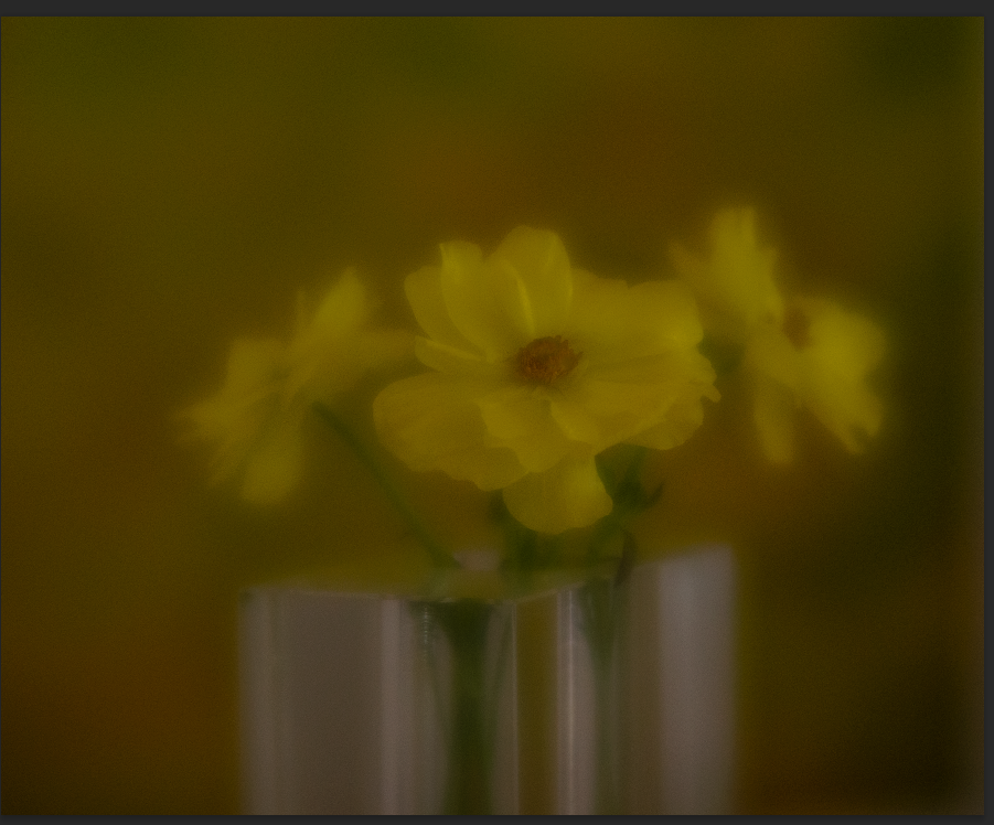 April 2026 - Donna Sturla