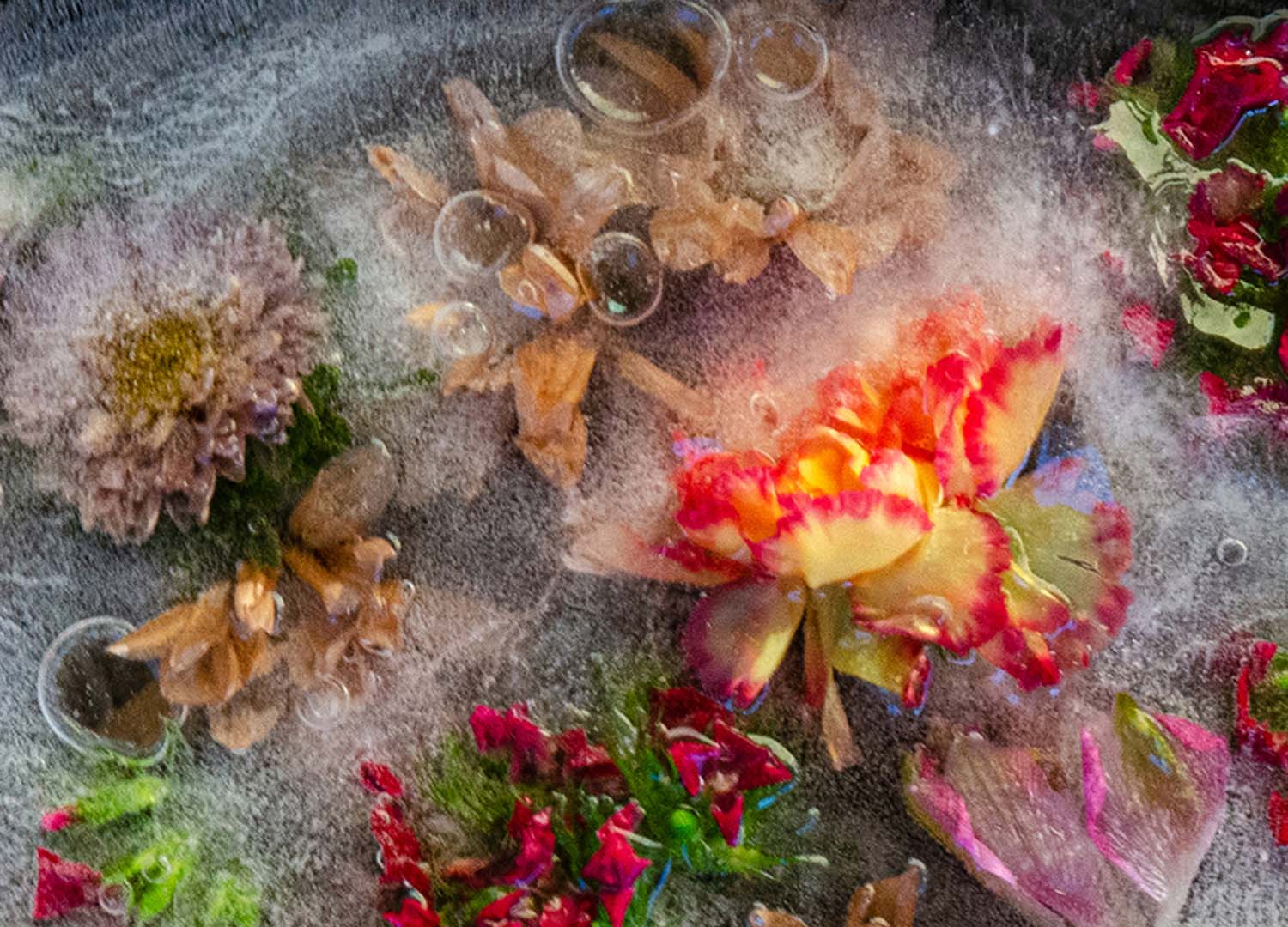 Frozen Bouquet by Donna Sturla