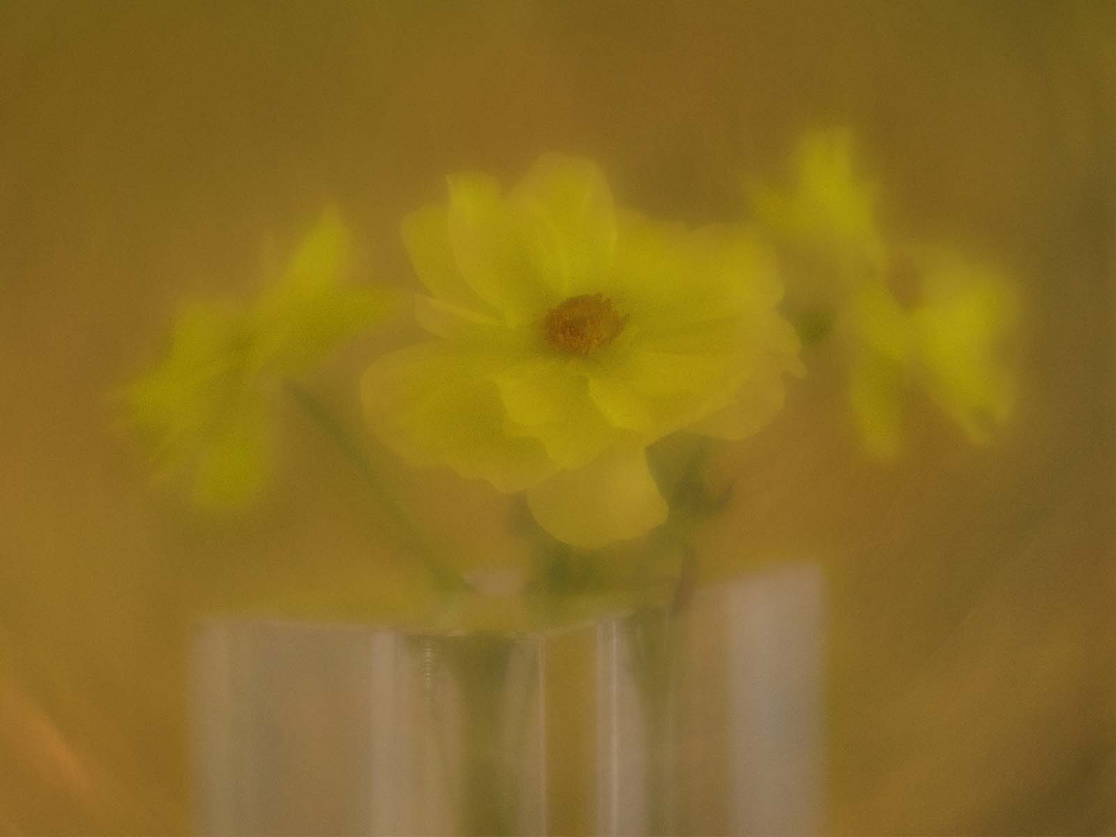 April 2026 - Donna Sturla