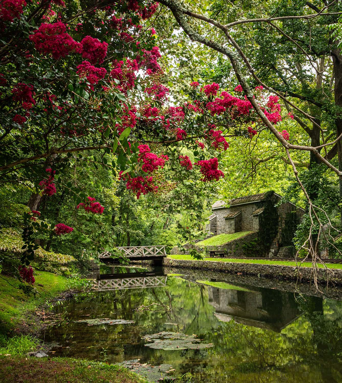 Summer Scene at Hagley Mills by Mark Aksoy