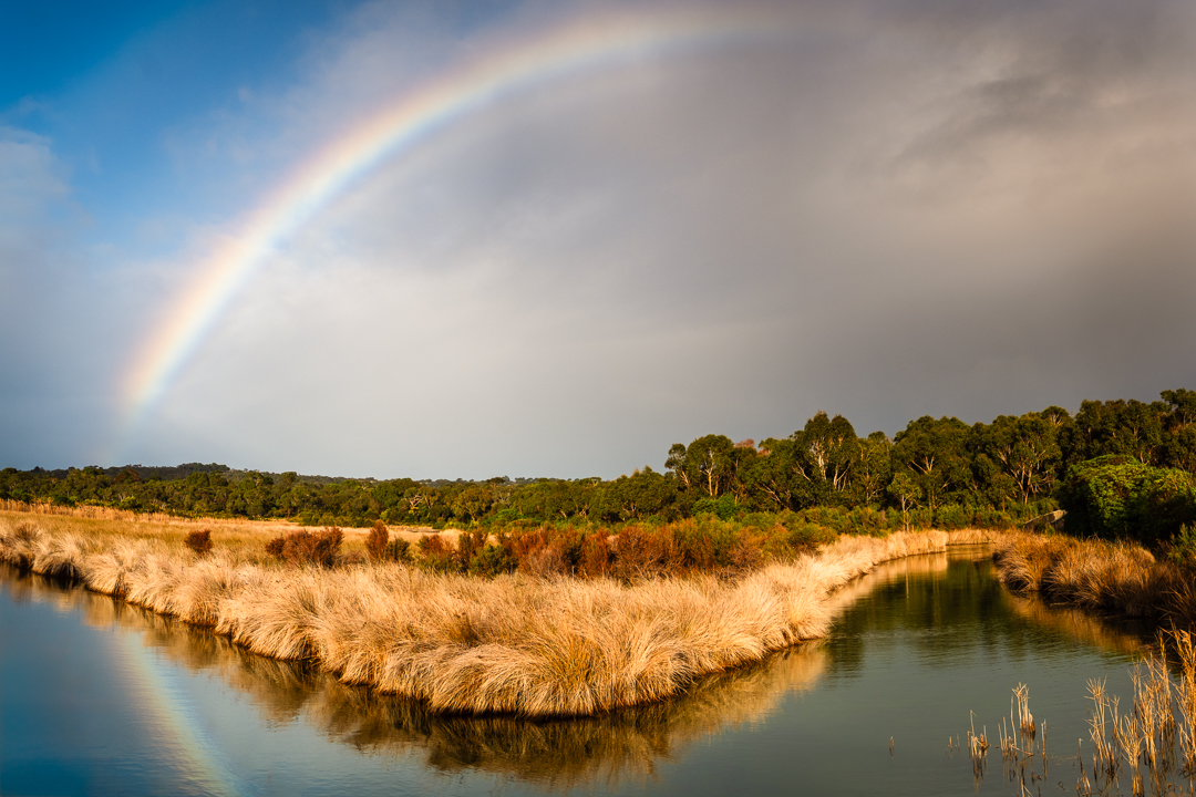 Under the Rainbow by Meredith Bain
