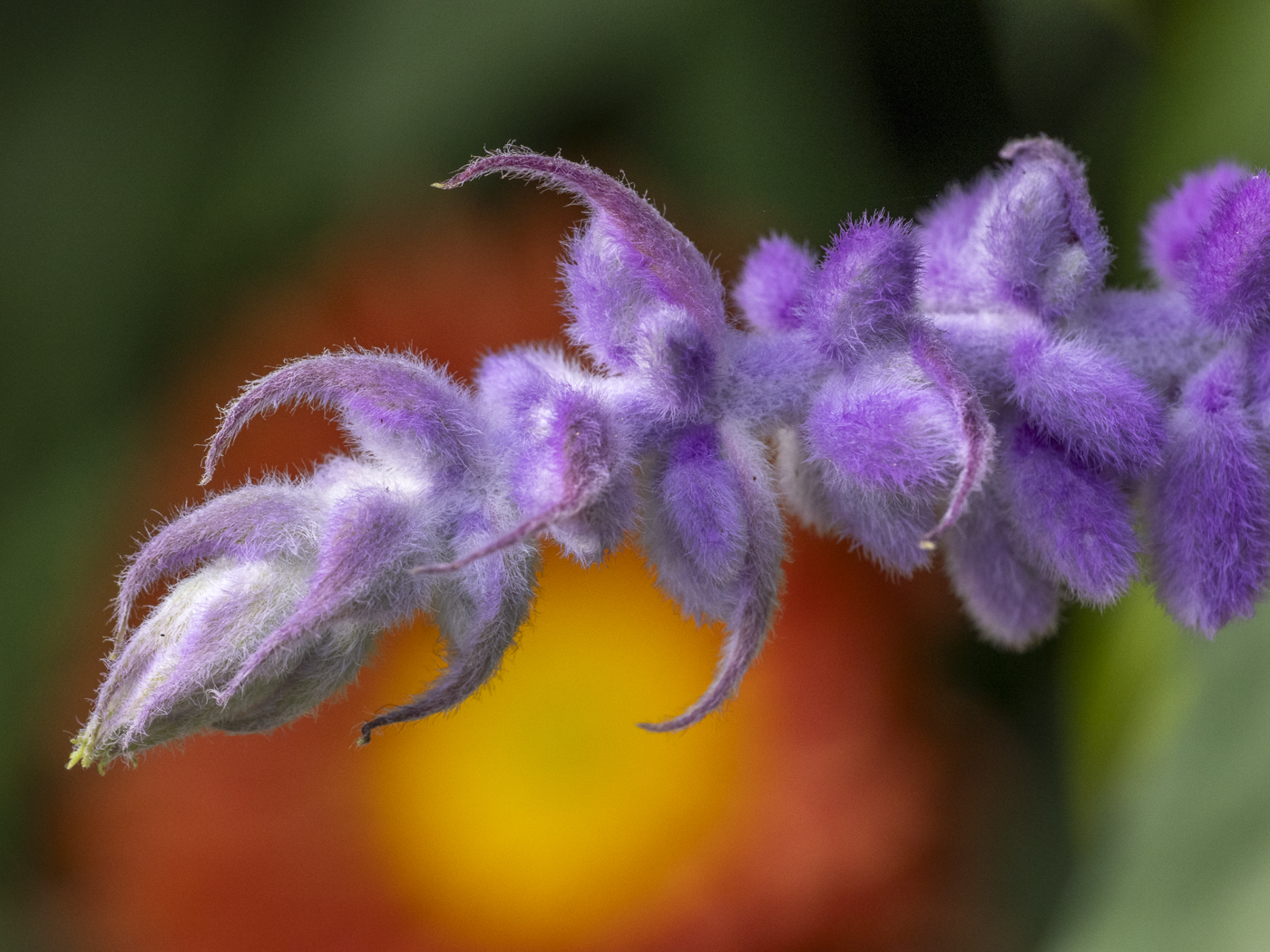 November 2025 - Doug Wolters