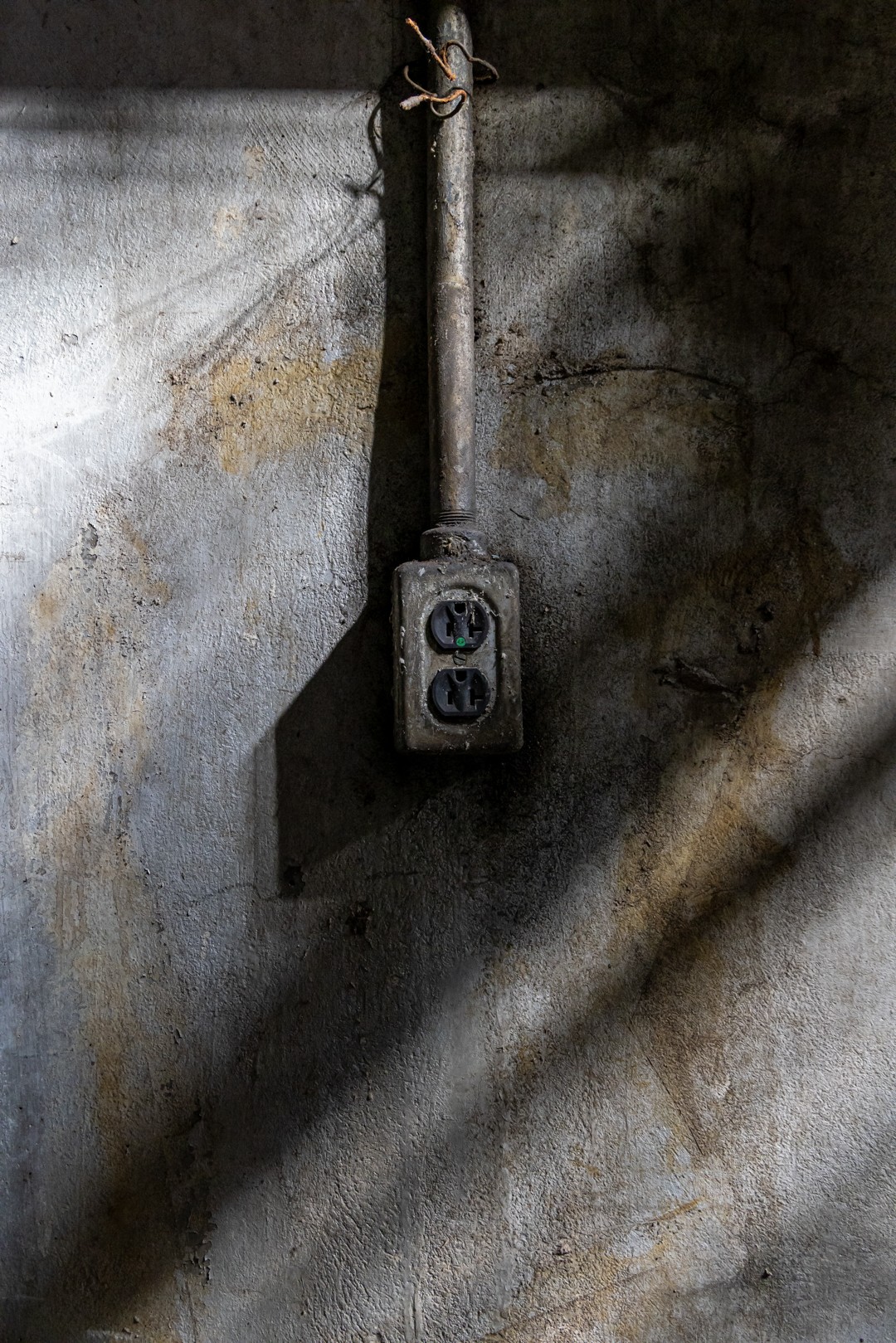 December 2025 - Nenette Yu