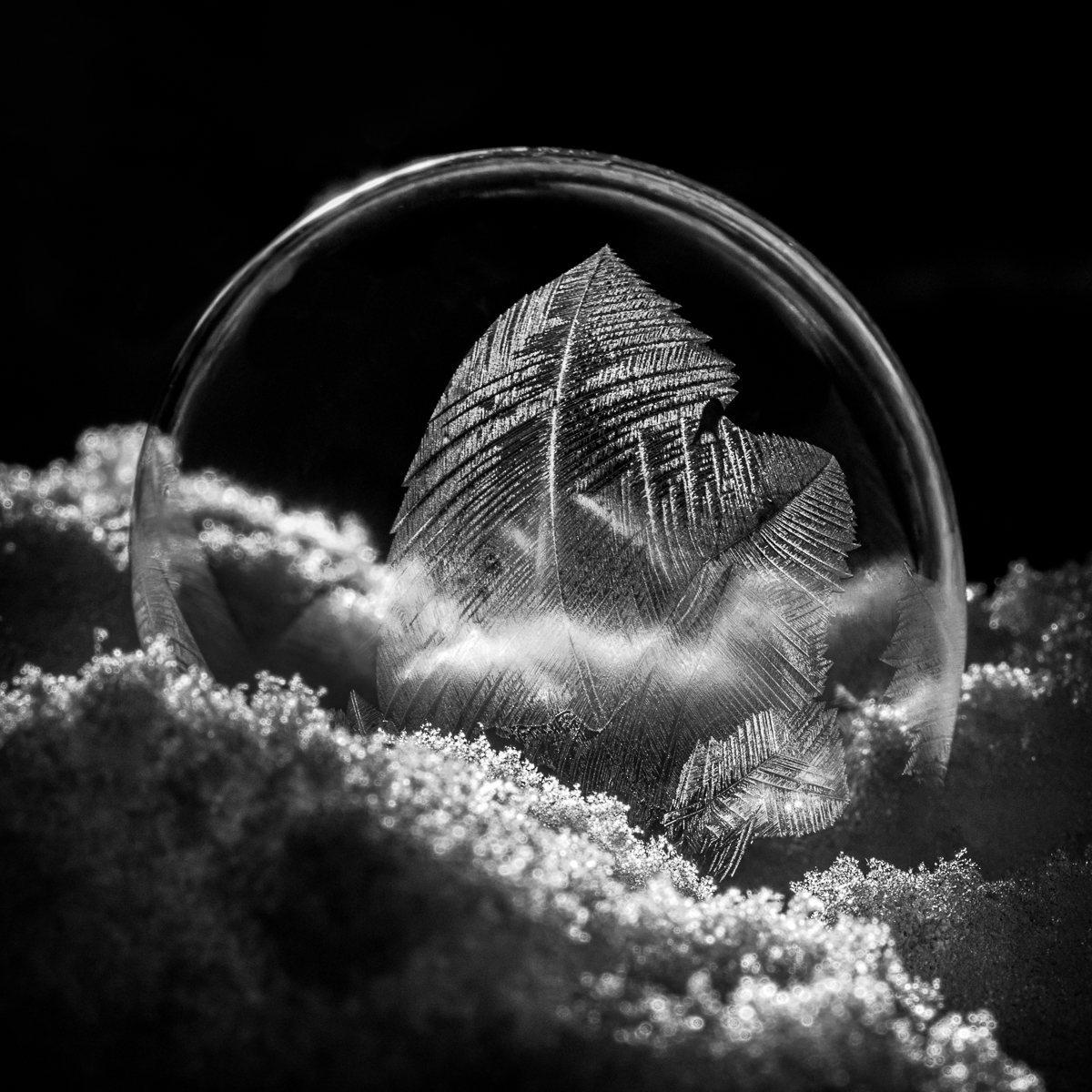 Frozen Bubbles by Henry Heerschap