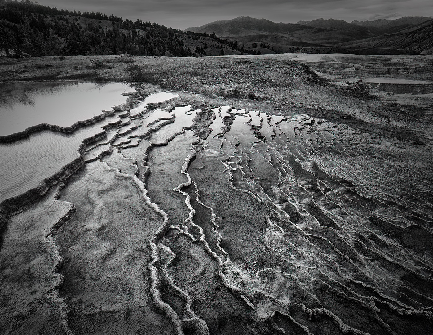 Mammoth Terraces by Darlene Elwin