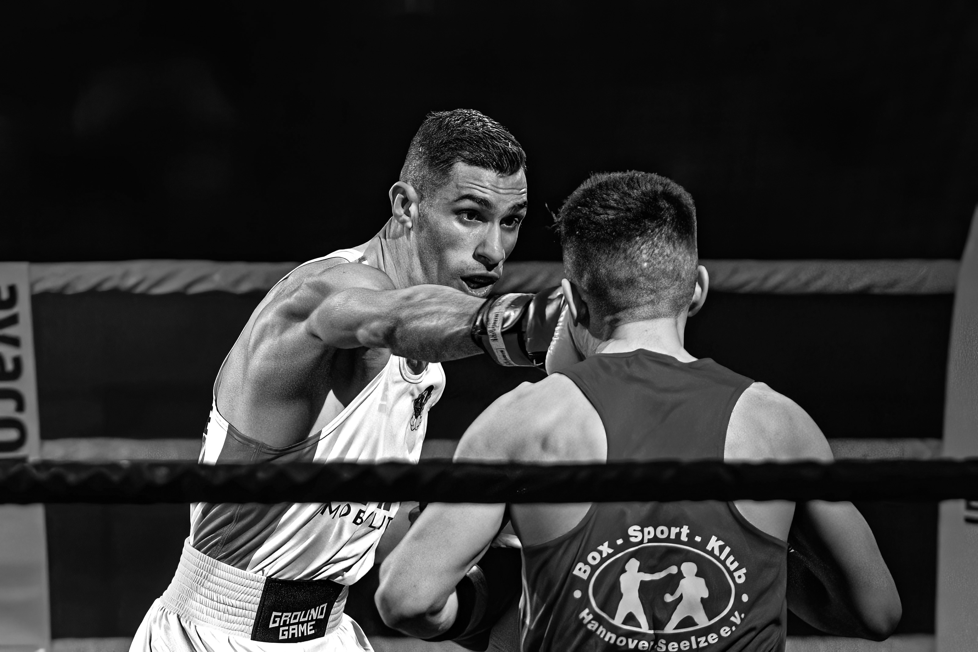 The Fighter by Peter Hornbostel