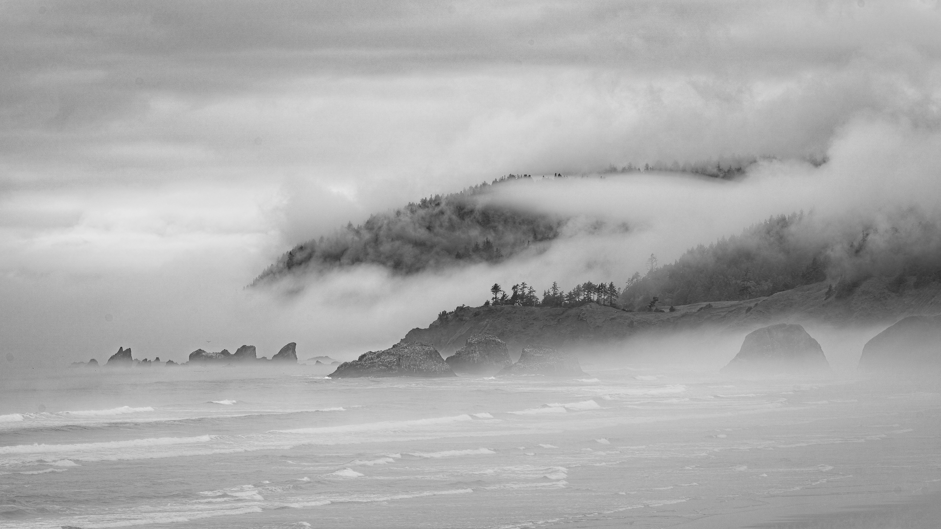 North of Cannon Beach by Henry Heerschap