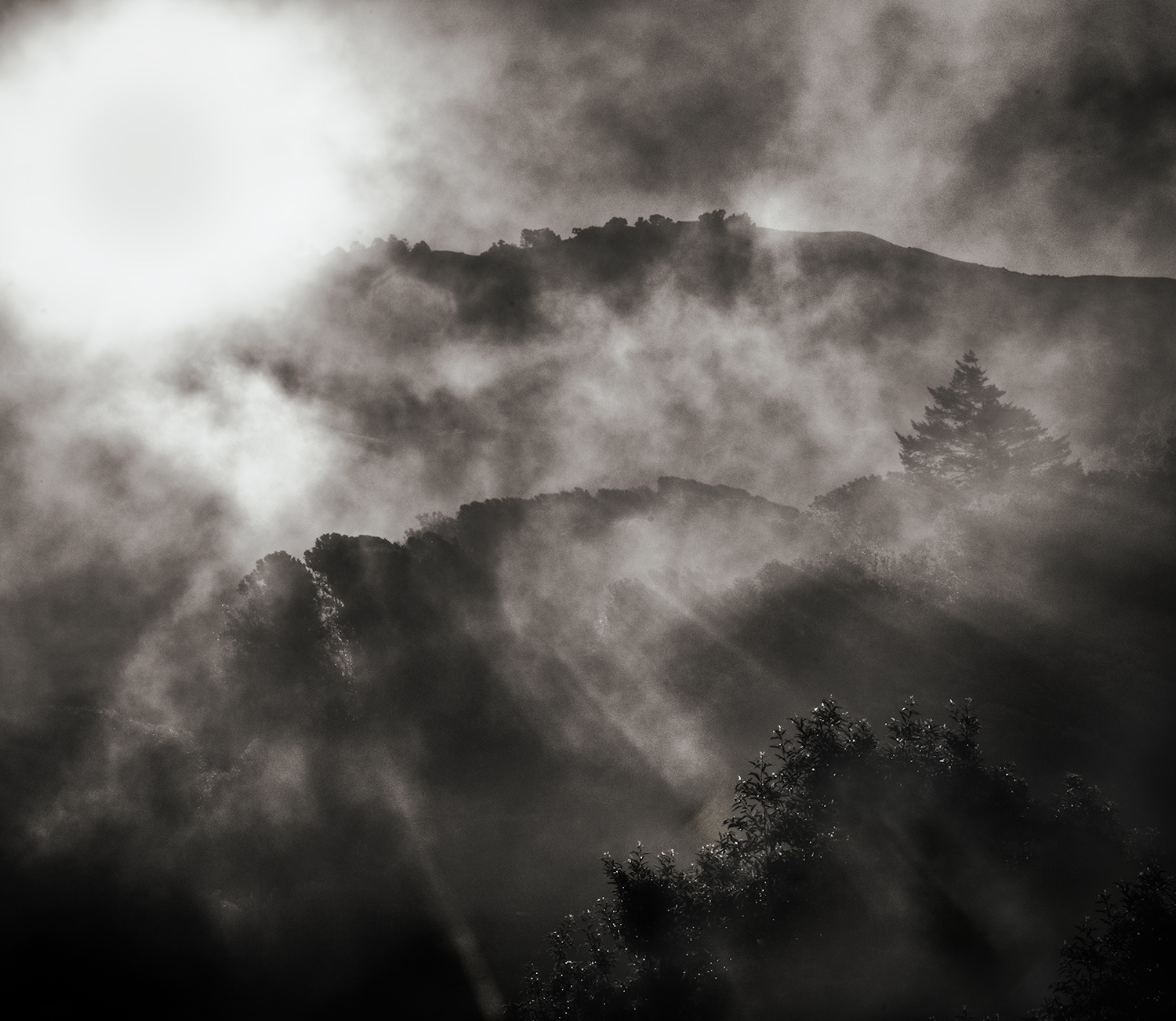 It's Often Foggy In Big Sur by Christian Serre