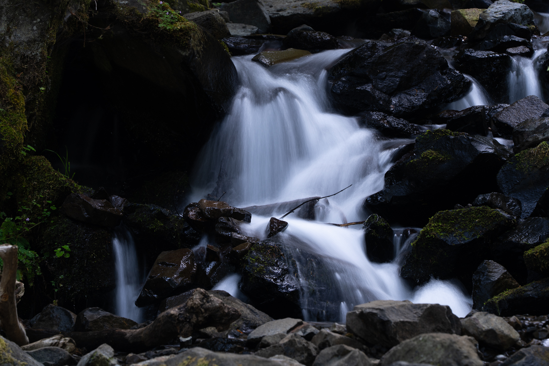 November 2025 - Henry Heerschap