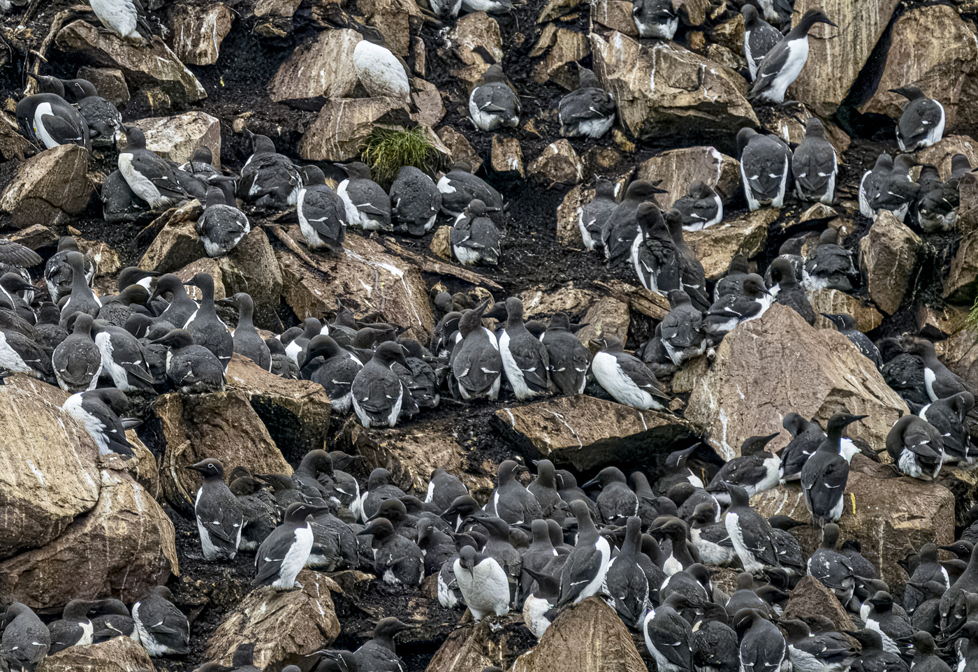 November 2025 - Ed Palaszynski