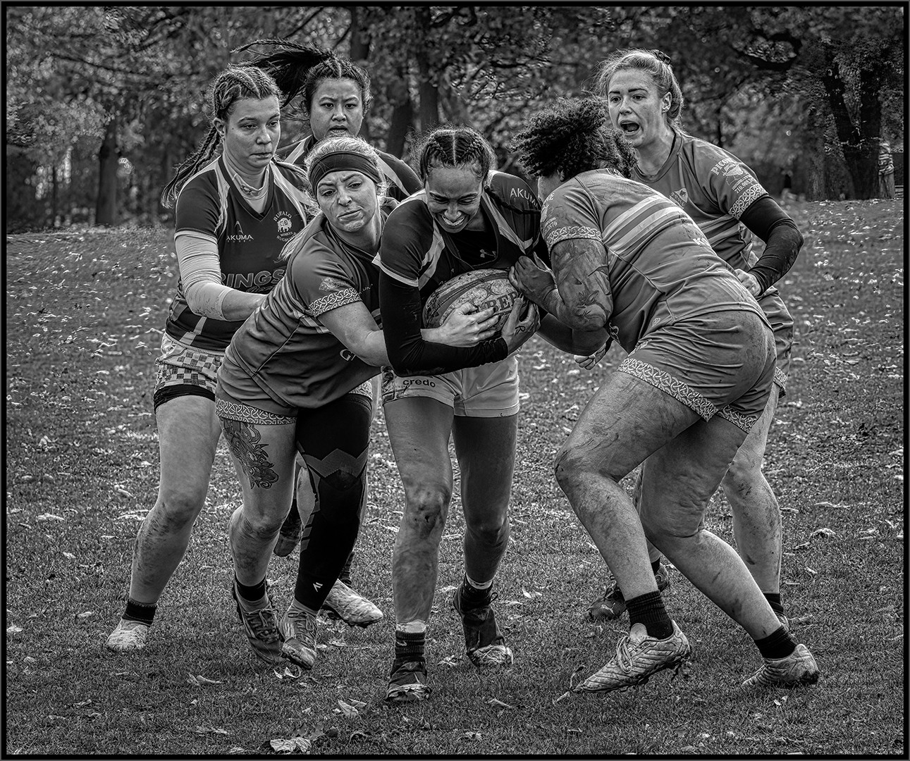  by Charles Bartolotta