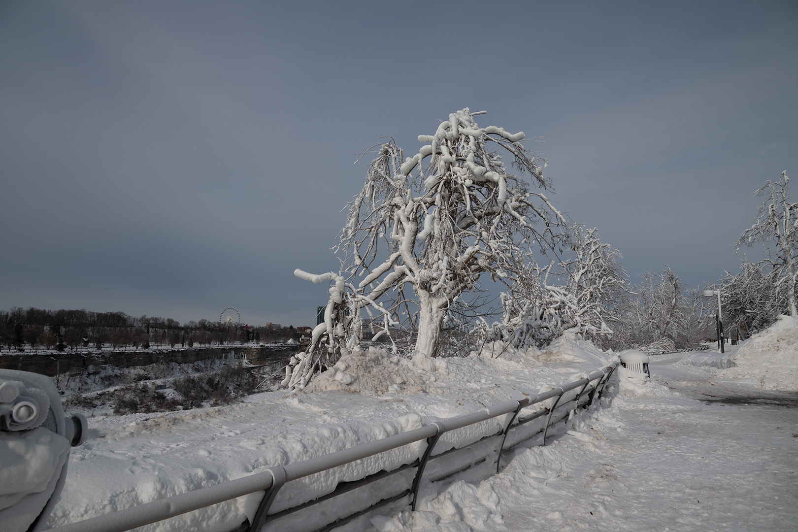 April 2026 - Charles Bartolotta