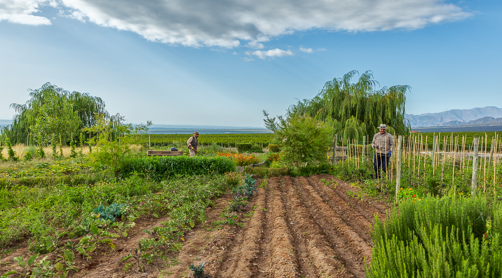 Agriculture - Working the Land by Ally Green