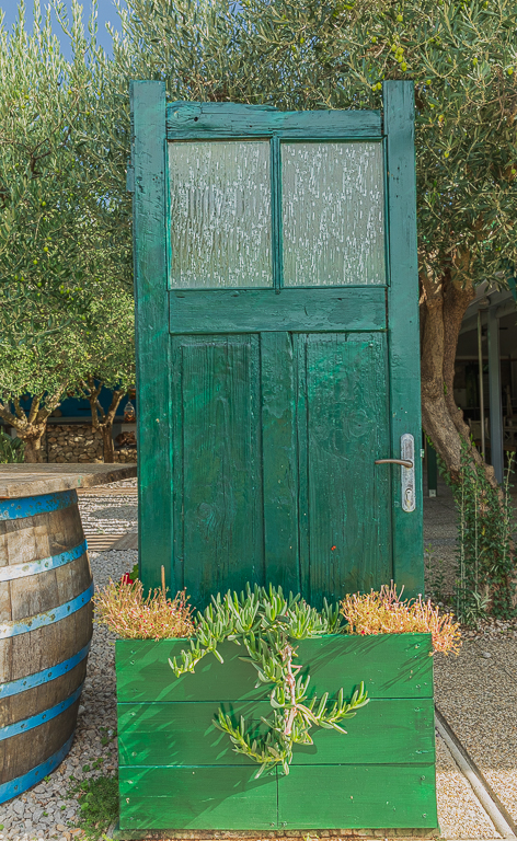 Interesting Door - The Green Door by Ally Green