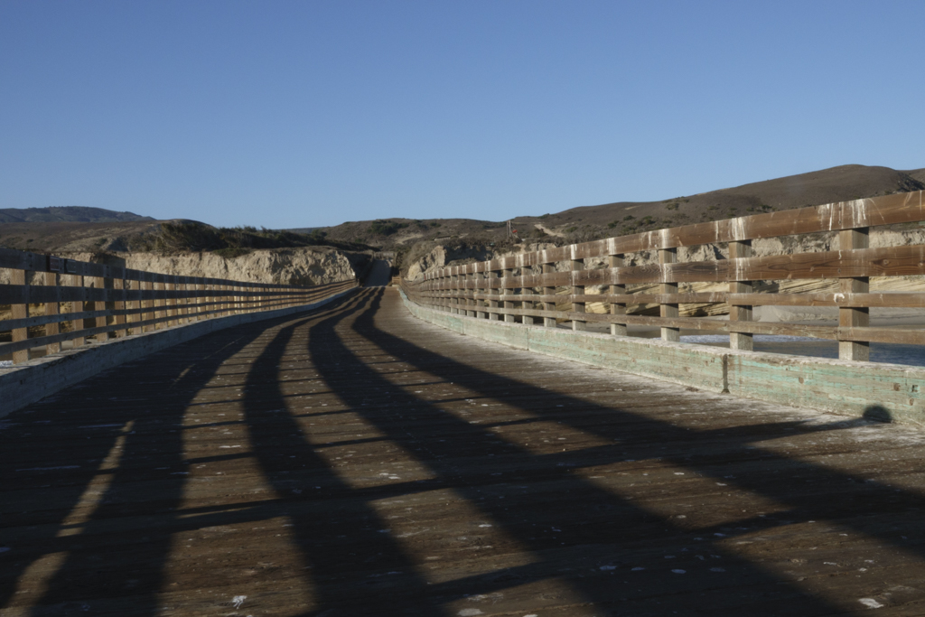 November 2025 - Bunny Laden