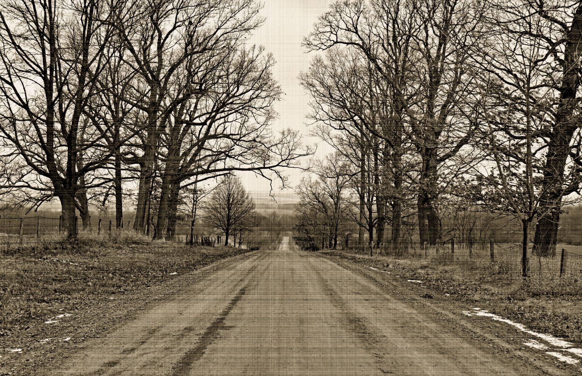 November 2025 - Lisa Salisbury Hackley