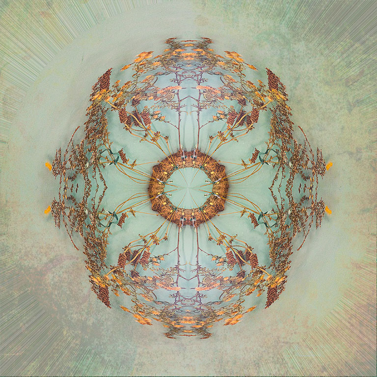 Symmetry by Connie Reinhart