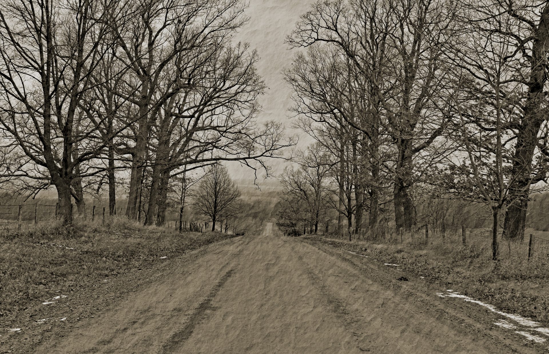 November 2025 - Lisa Salisbury Hackley