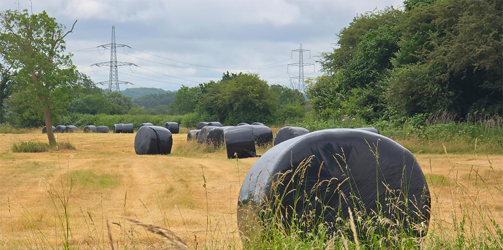 Harvest time by Steven Wharram