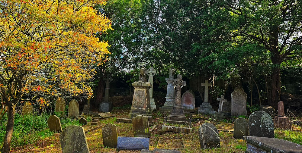 Falling by Steven Wharram