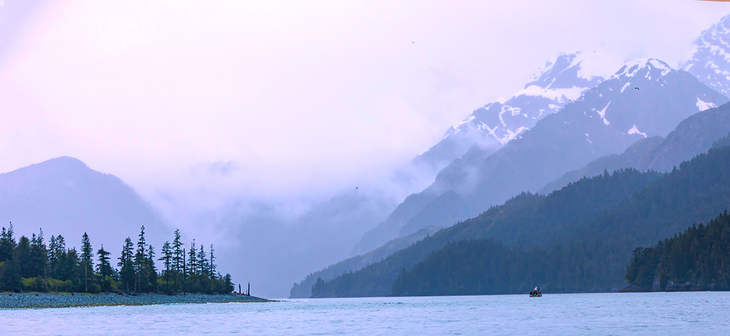 Kenai Alaska by Barbara Dunn