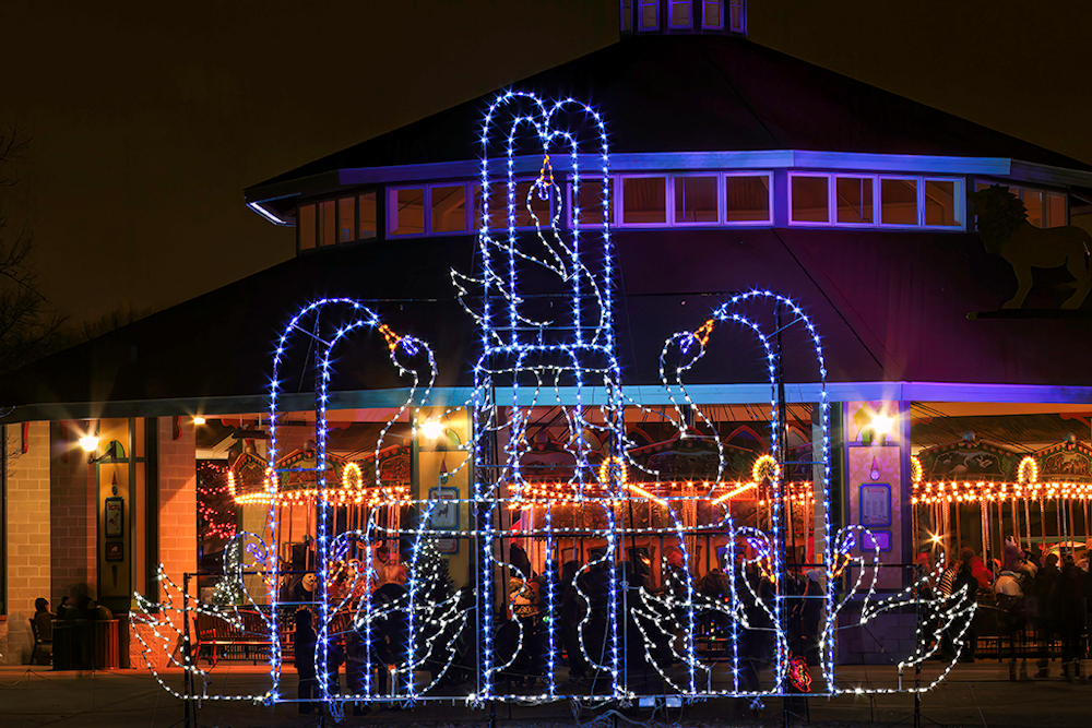 Zoo Lights by Barbara Dunn