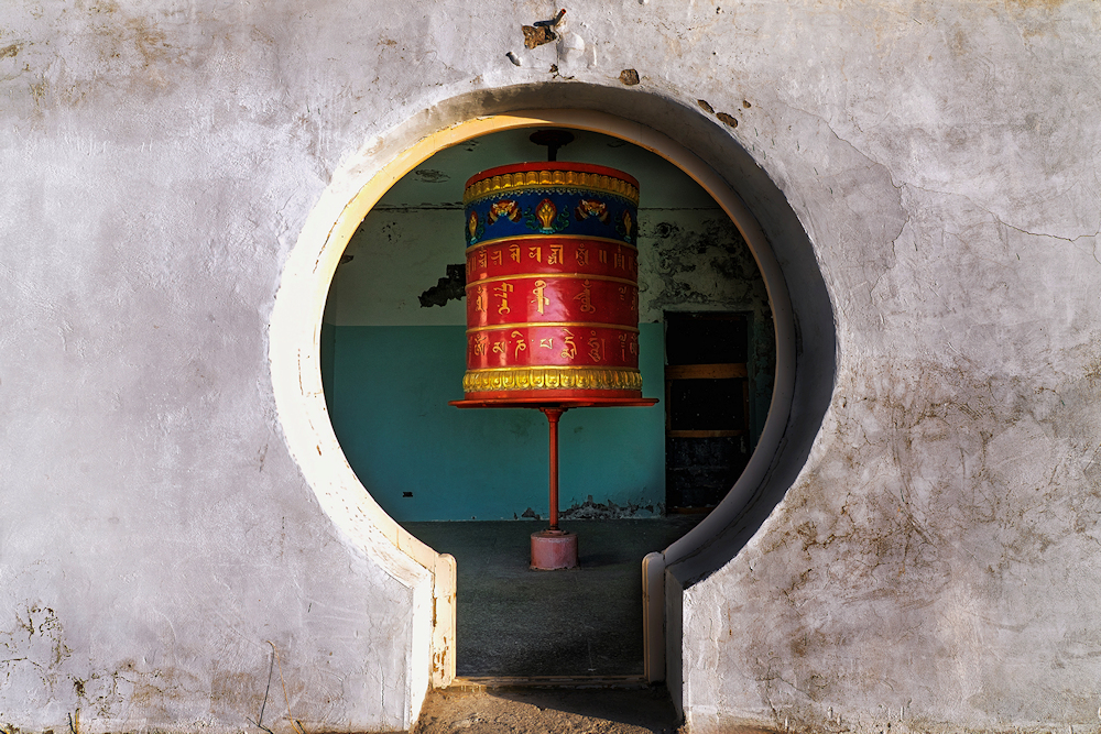 Frayer Wheel by Wendy Stanford