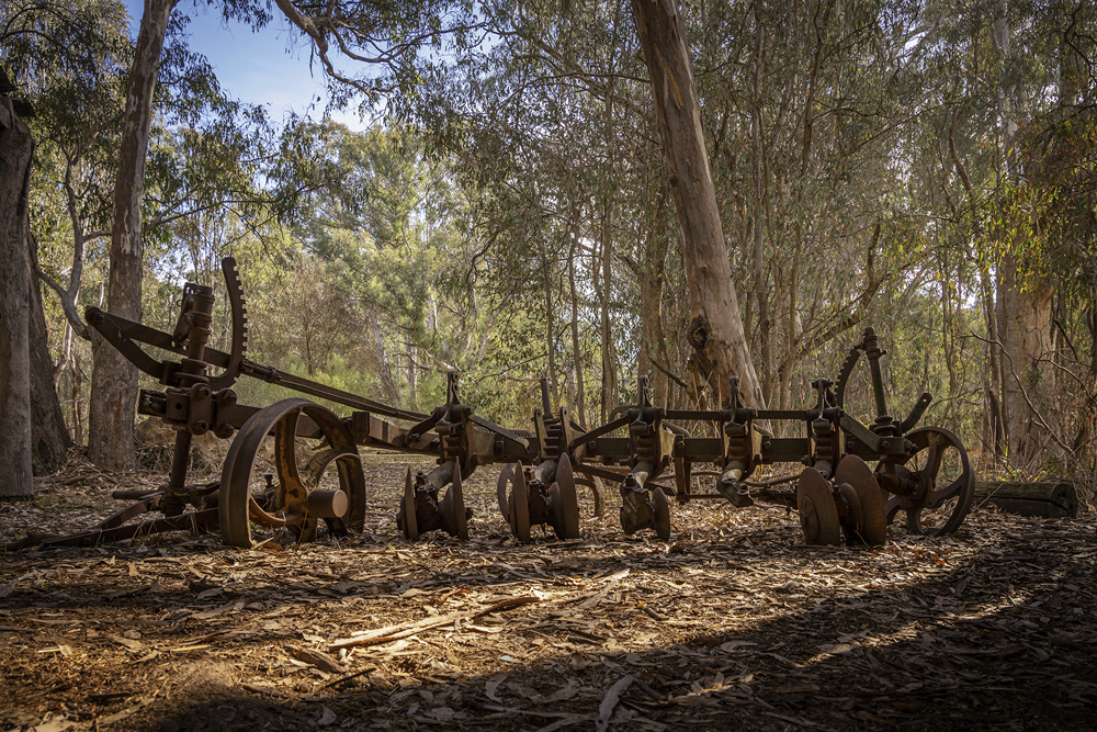 Abandoned Plow From Many Years Ago by Wendy Stanford