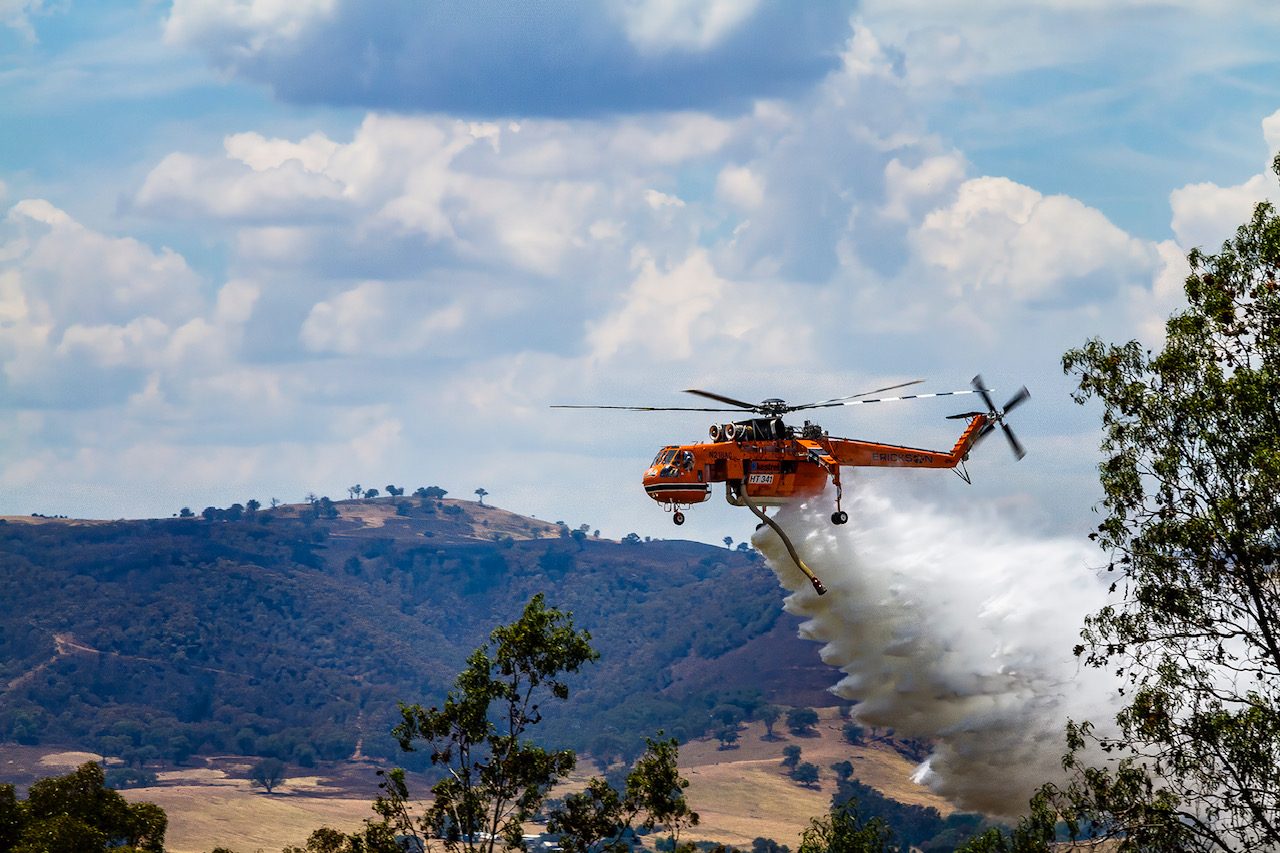 Bushfire Saviour by Wendy Stanford