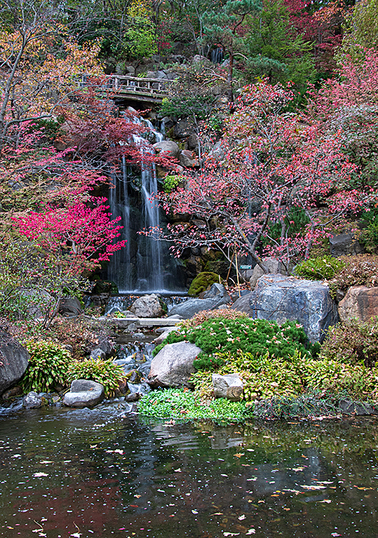 Fall at Anderson Japanese Garden by Barbara Dunn
