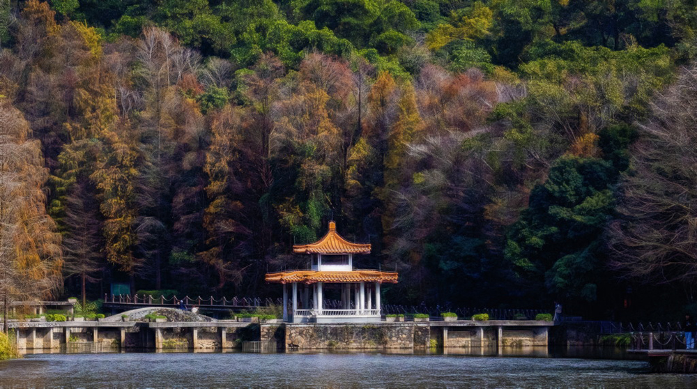 Pavilion in Low Level by Fat Chen, PPSA