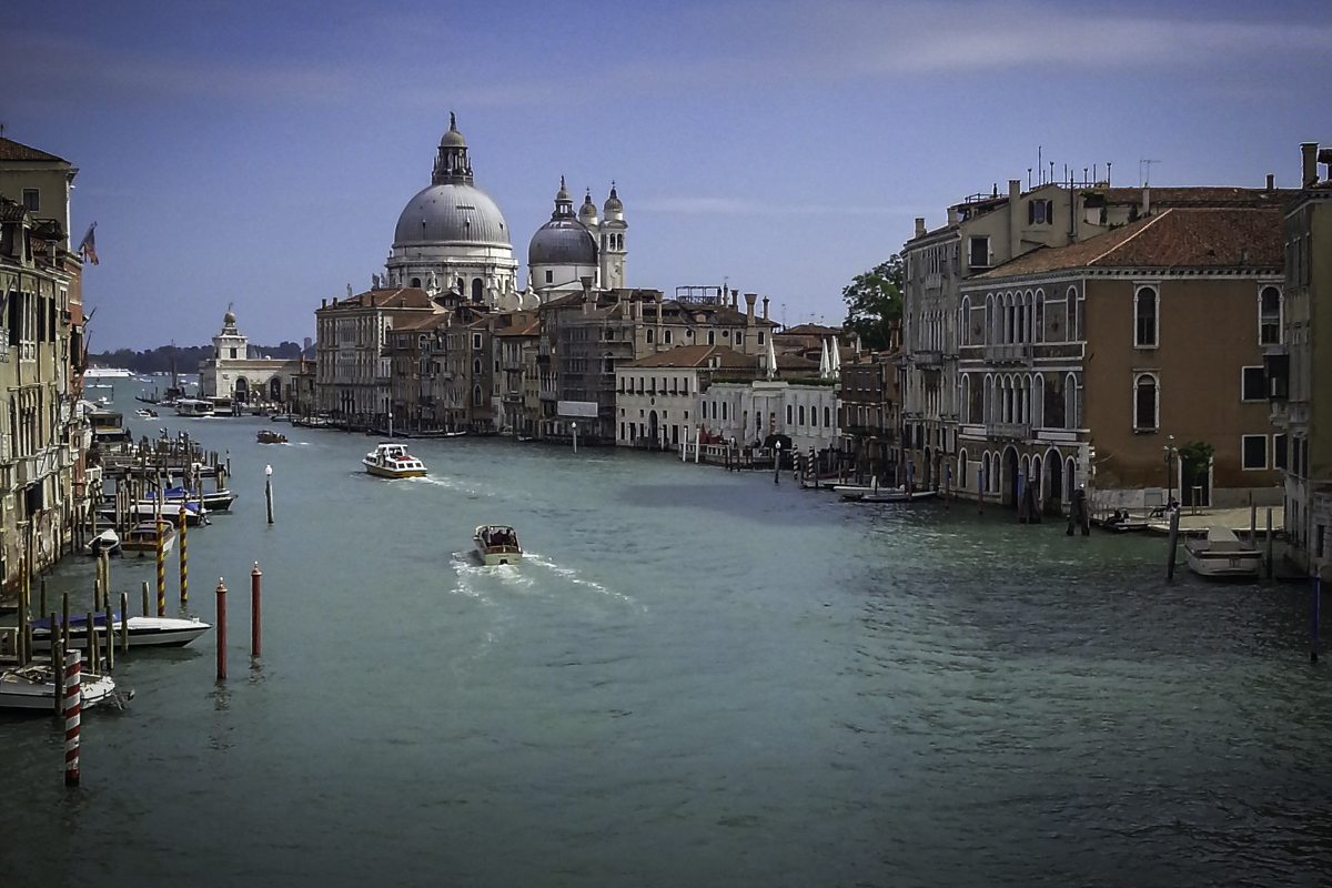 A Grand Introduction by Darcy Johnson