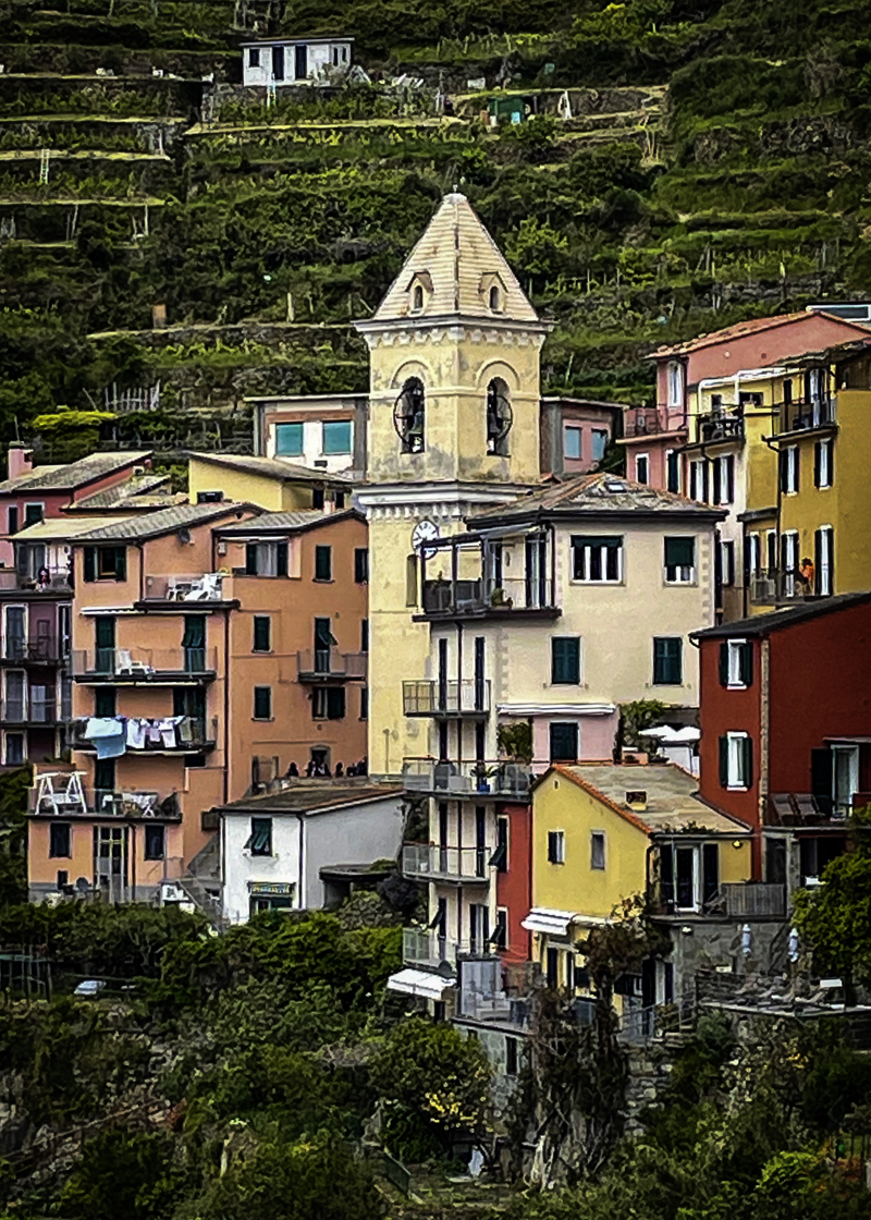 Cinque Terre Landscape