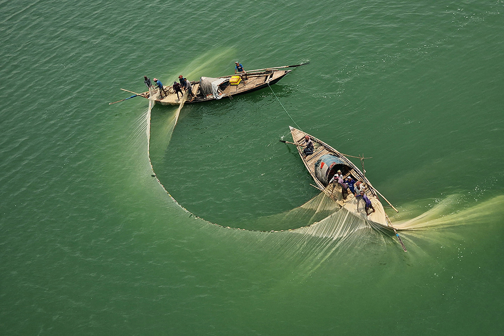 FISHING IN PADMA RIVER by Syed Shakhawat Kamal