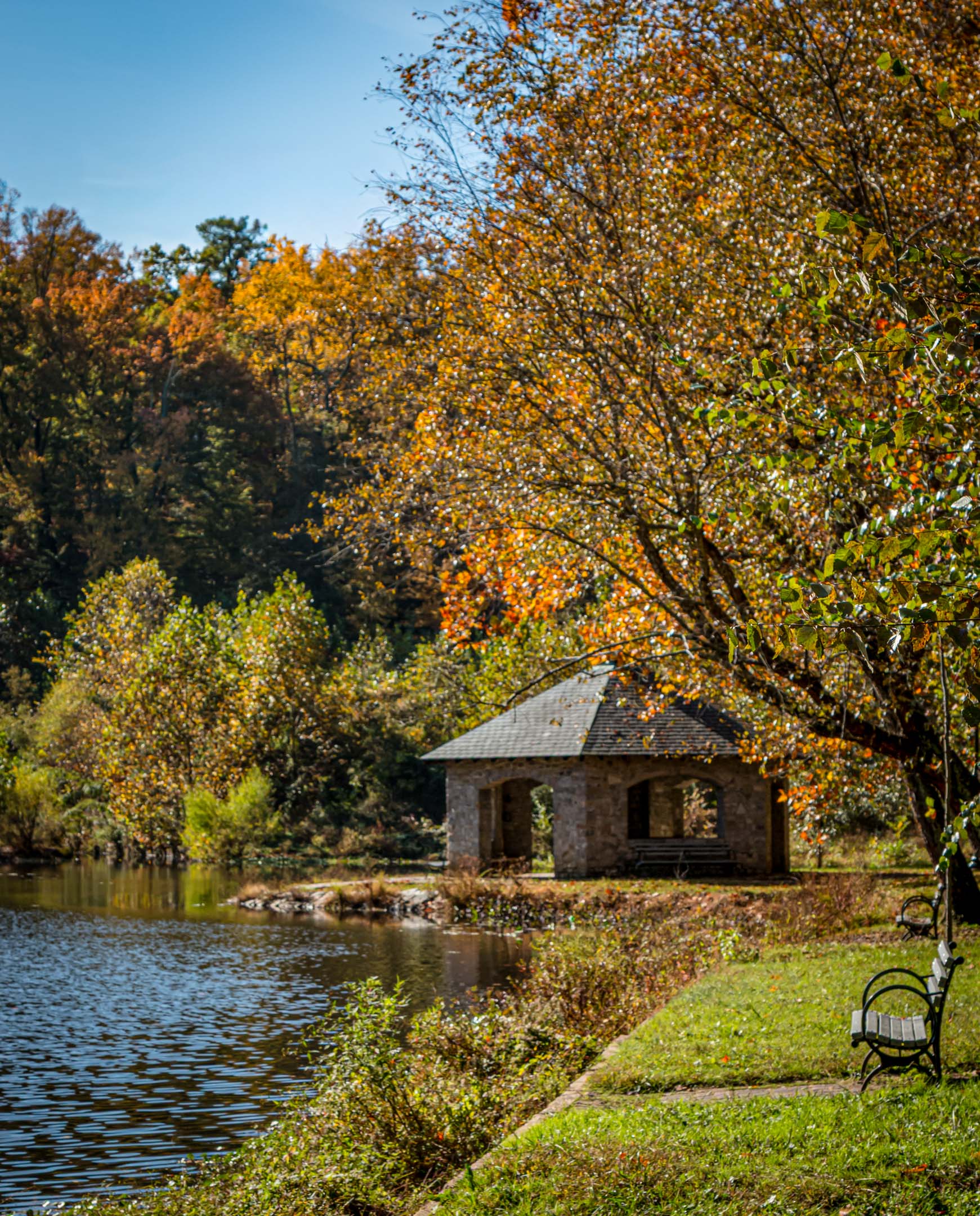 Fall in Forest Hill Park by Karen Davis