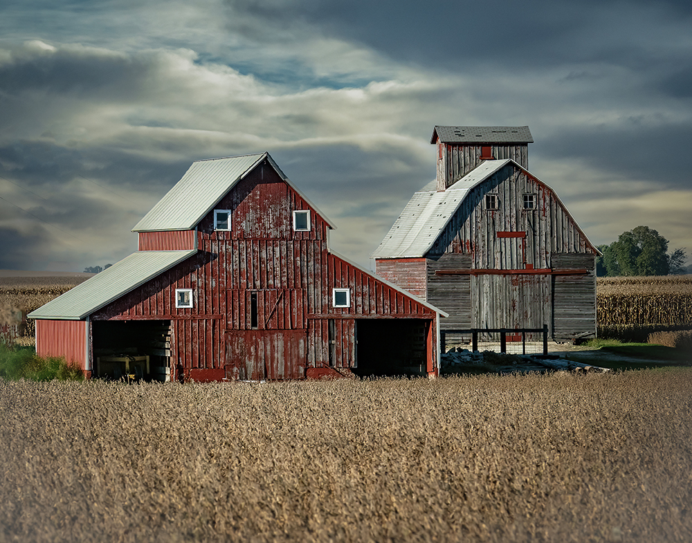 Illinois Barns  by Ingrid Lockhart