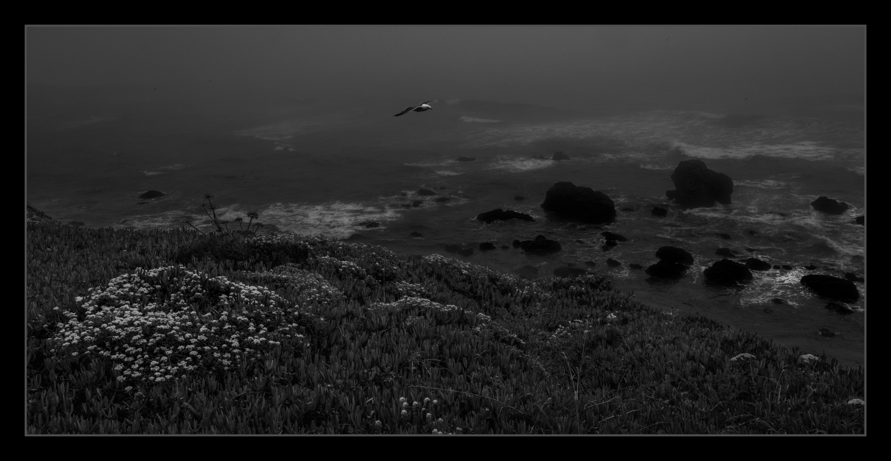 Lonely Flight by Karen Davis