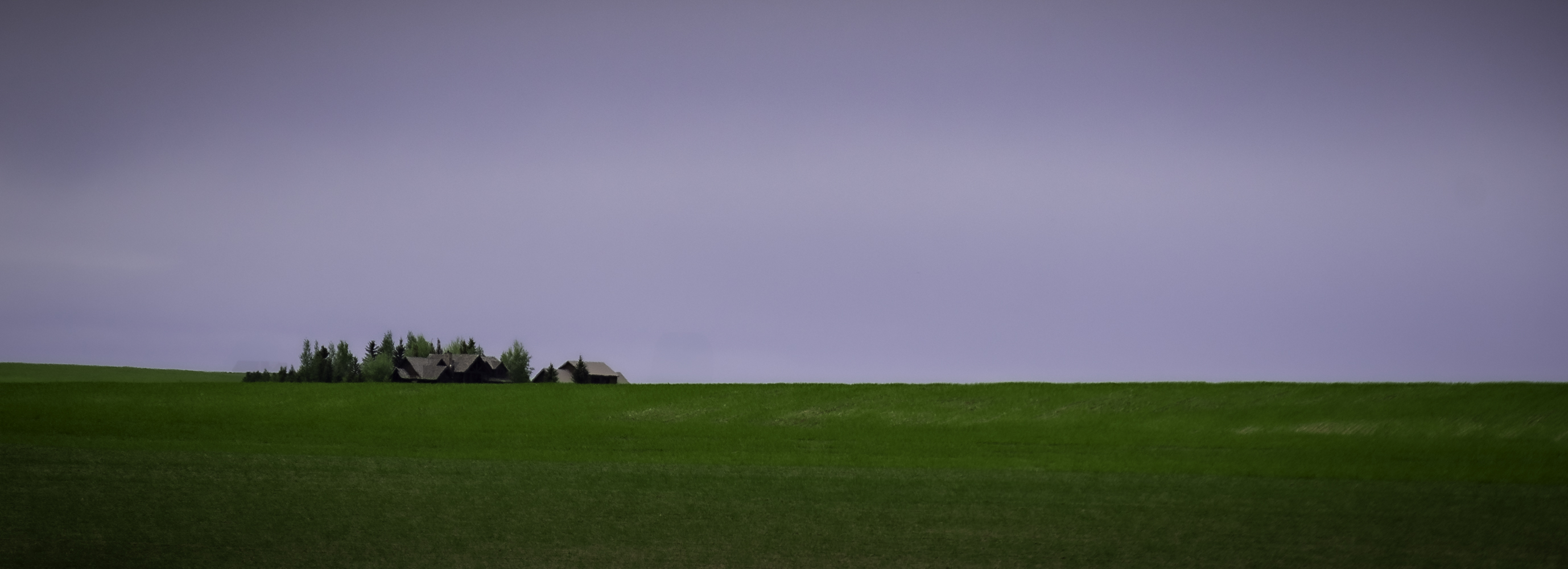Palouse Landscape by Darcy Johnson