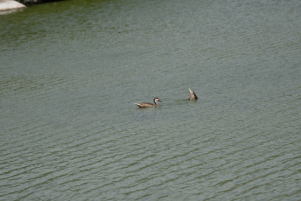 December 2025 - Gregory Waldron