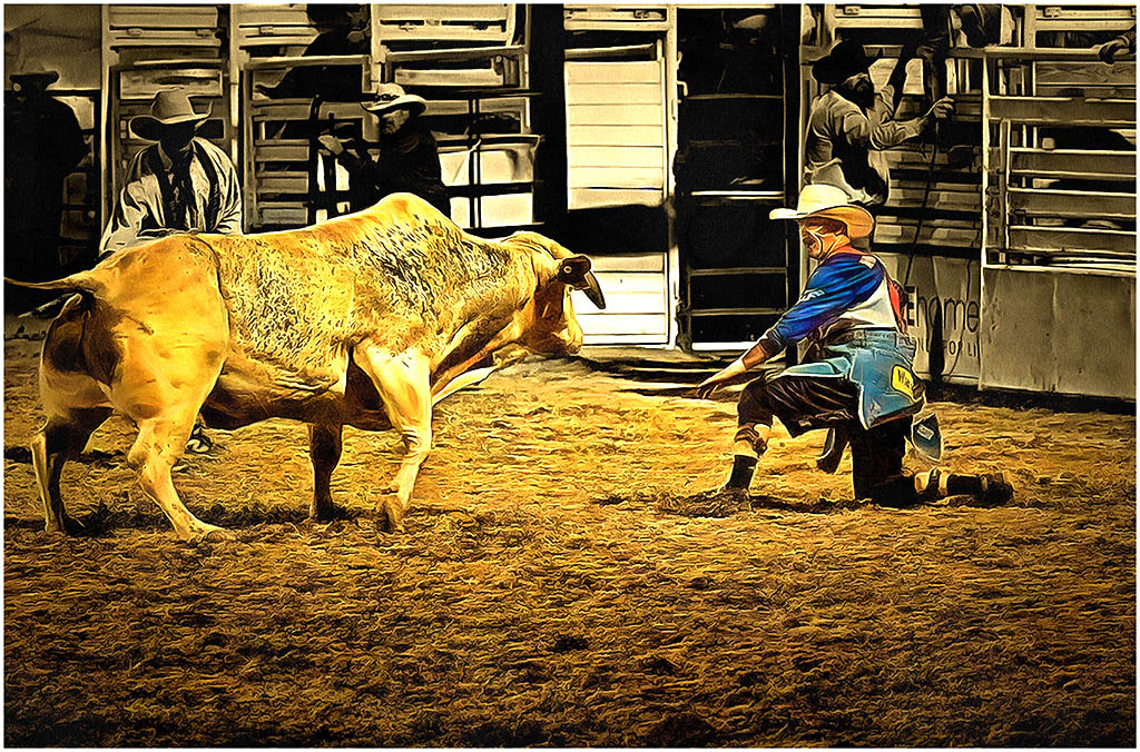  Cowboy Matador by Gregory Waldron